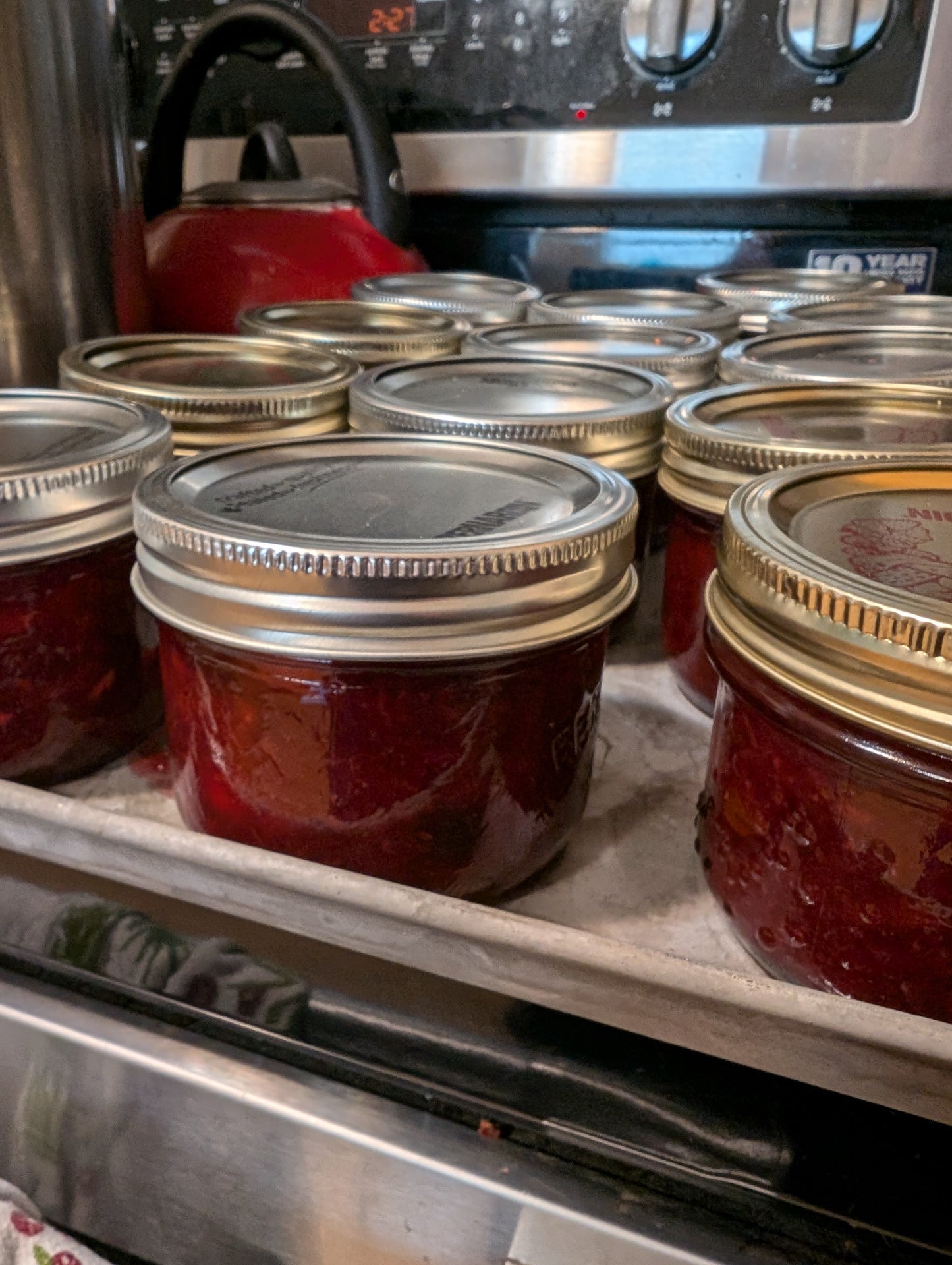 Cranberry Chutney