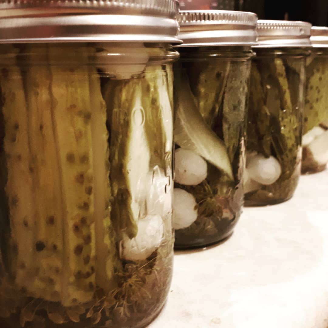 Dill Pickle Spears