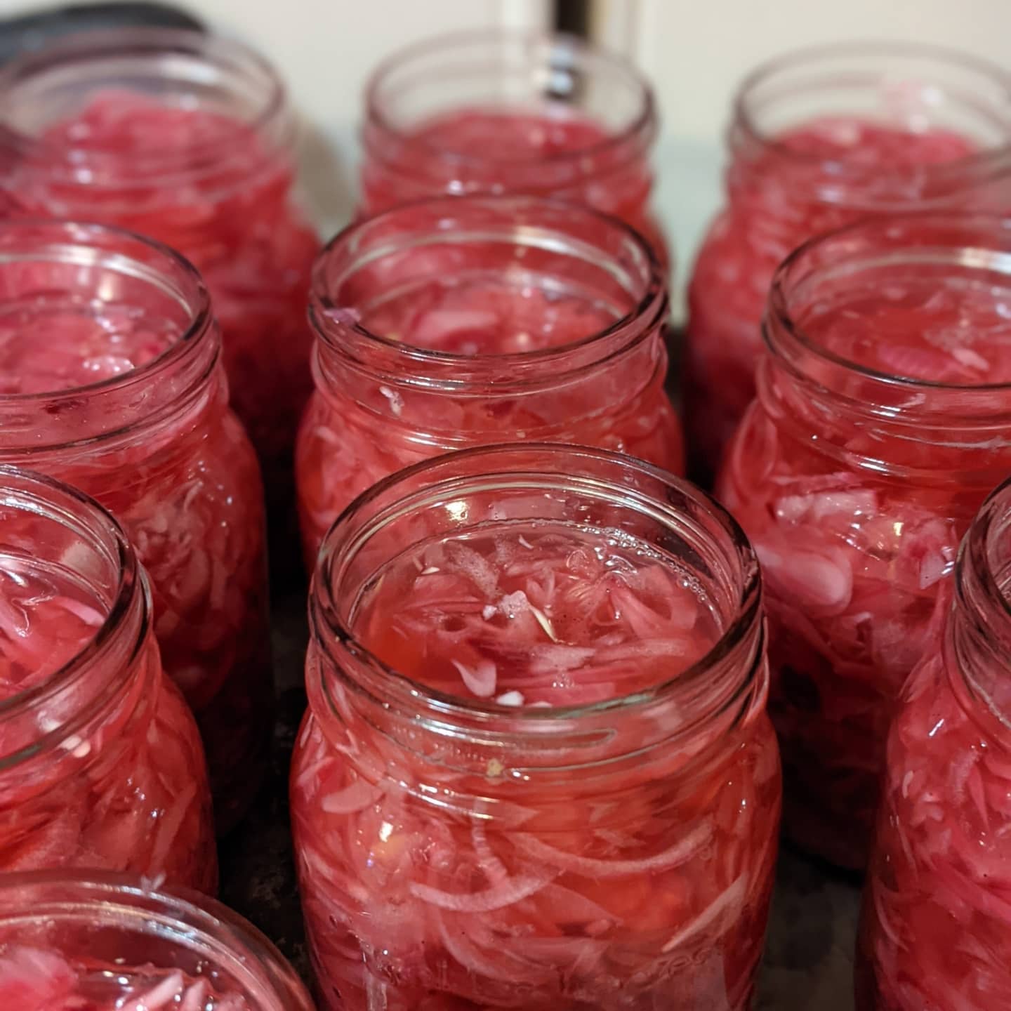 Pickled Red Onion
